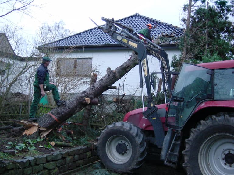 Sturmschadenbeseitigung in Gartenanlagen in Bad Oeynhausen