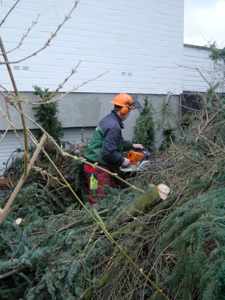 Sturmschadenbeseitigung in Gartenanlagen in Bad Oeynhausen