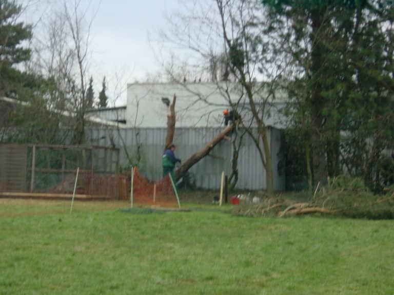 Sturmschadenbeseitigung in Gartenanlagen in Bad Oeynhausen