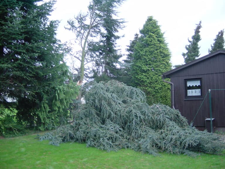 Sturmschadenbeseitigung in Gartenanlagen in Bad Oeynhausen