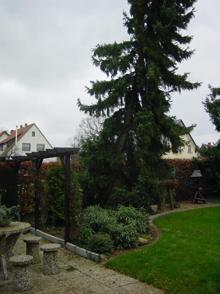 Sturmschadenbeseitigung in Gartenanlagen in Bad Oeynhausen