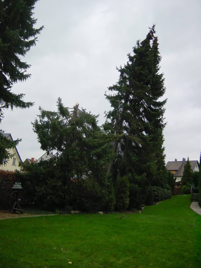 Sturmschadenbeseitigung in Gartenanlagen in Bad Oeynhausen