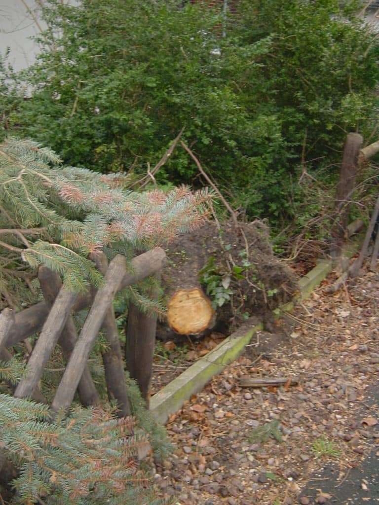 Sturmschadenbeseitigung in Gartenanlagen in Bad Oeynhausen