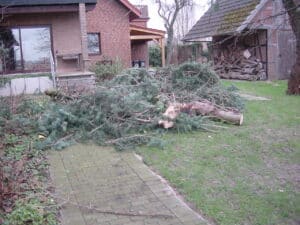 Sturmschadenbeseitigung in Gartenanlagen in Bad Oeynhausen