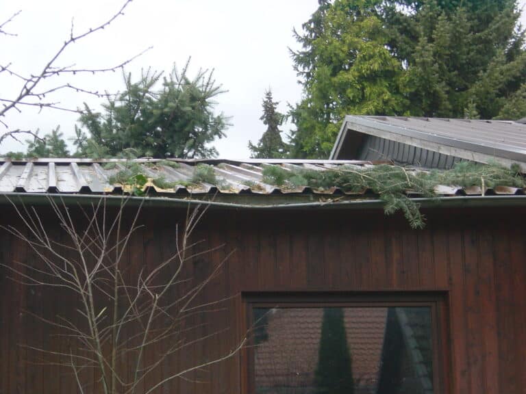 Sturmschadenbeseitigung in Gartenanlagen in Bad Oeynhausen