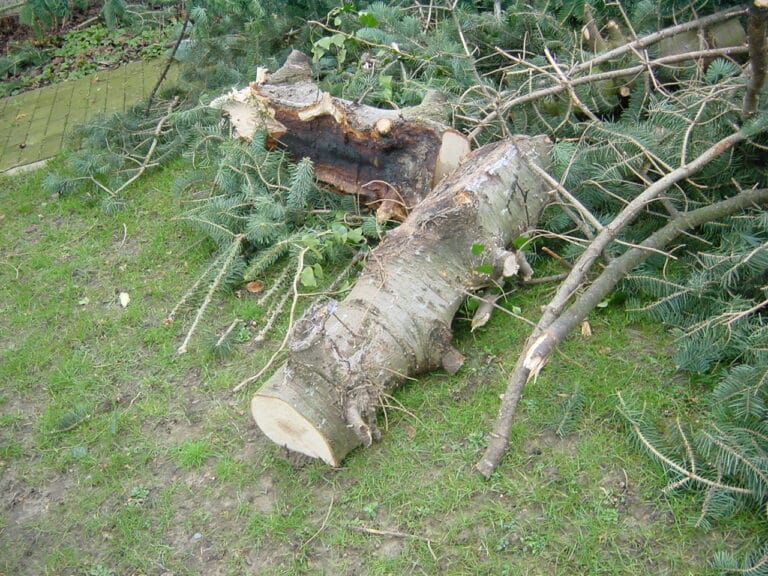 Sturmschadenbeseitigung in Gartenanlagen in Bad Oeynhausen