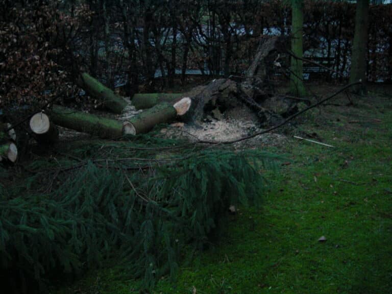 Sturmschadenbeseitigung in Gartenanlagen in Bad Oeynhausen