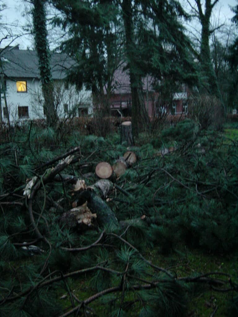 Sturmschadenbeseitigung in Gartenanlagen in Bad Oeynhausen