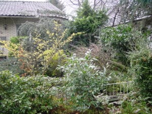 Sturmschadenbeseitigung in Gartenanlagen in Bad Oeynhausen