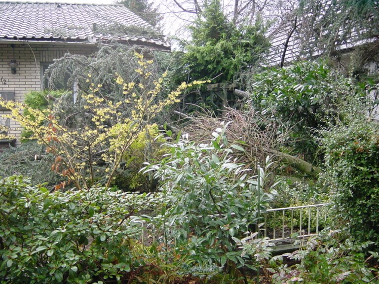 Sturmschadenbeseitigung in Gartenanlagen in Bad Oeynhausen