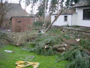 Sturmschadenbeseitigung in Gartenanlagen in Bad Oeynhausen