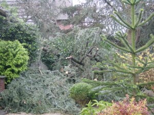 Sturmschadenbeseitigung in Gartenanlagen in Bad Oeynhausen