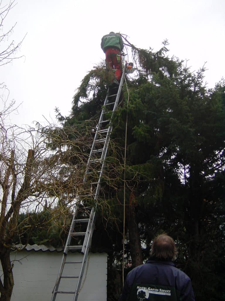 Sturmschadenbeseitigung in Gartenanlagen in Bad Oeynhausen