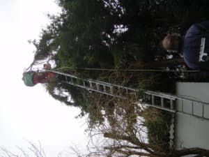 Sturmschadenbeseitigung in Gartenanlagen in Bad Oeynhausen