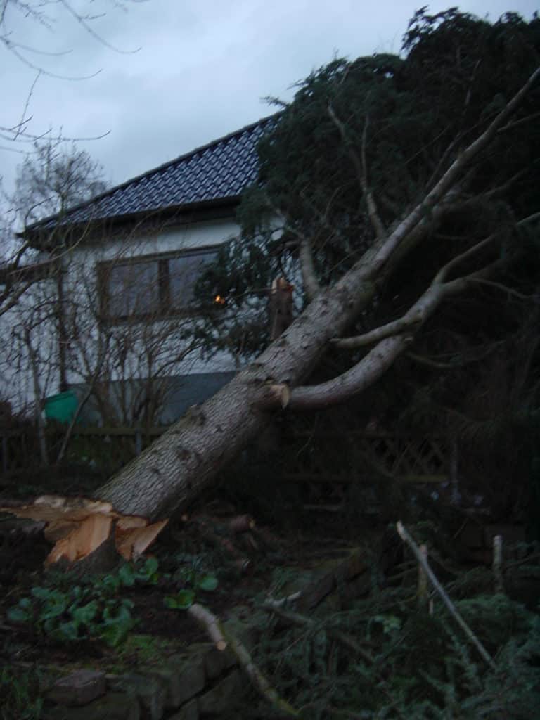 Sturmschadenbeseitigung in Gartenanlagen in Bad Oeynhausen