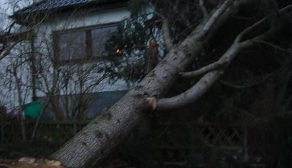 vSturmschadenbeseitigung in Gartenanlagen in Bad Oeynhausen