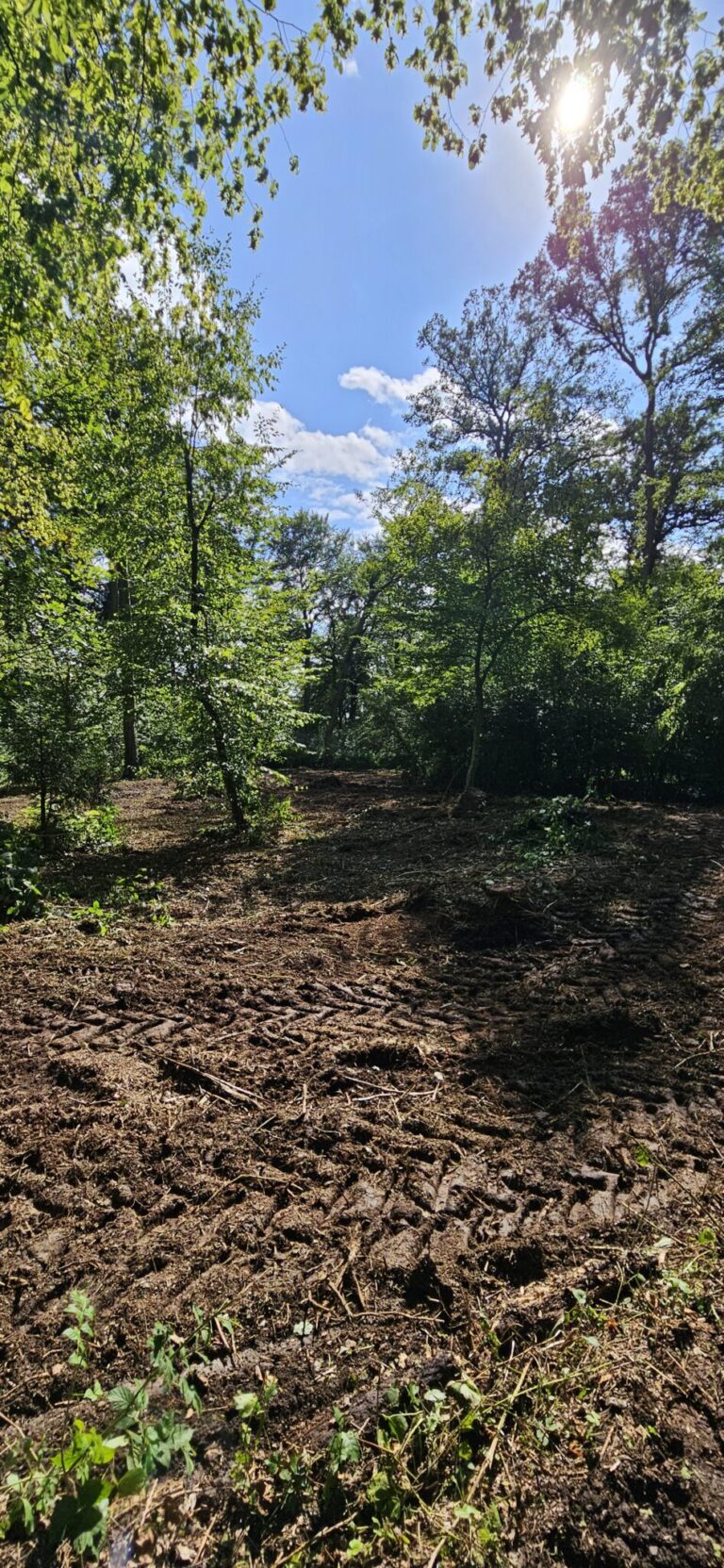 Mähraupe mit Ausleger bei der Trailpflege