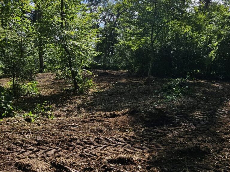 Mähraupe mit Ausleger bei der Trailpflege