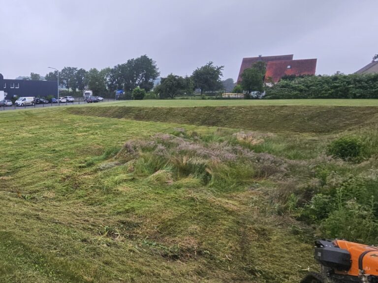 schnell und effektive Regenwasseranlage pflegen