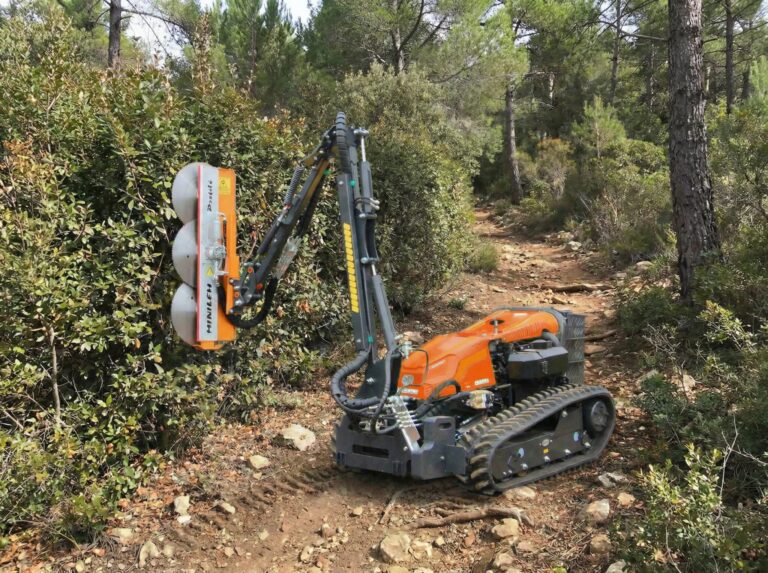 MoutainTrail Pflege - Rückschnitt in schwierigem Gelände - Hoch hinaus ohne großen Aufwand - besser als Handarbeit