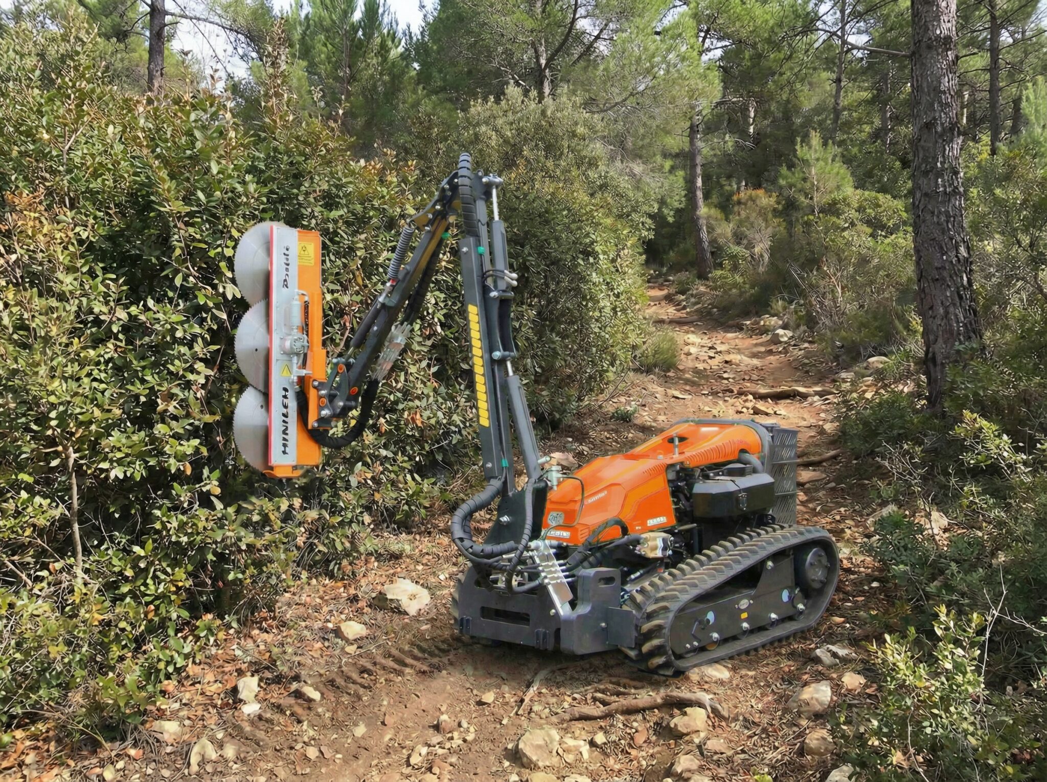 Trailpflege mit Mähraupe MoutainTrail Pflege - Rückschnitt in schwierigem Gelände - Hoch hinaus ohne großen Aufwand - besser als Handarbeit