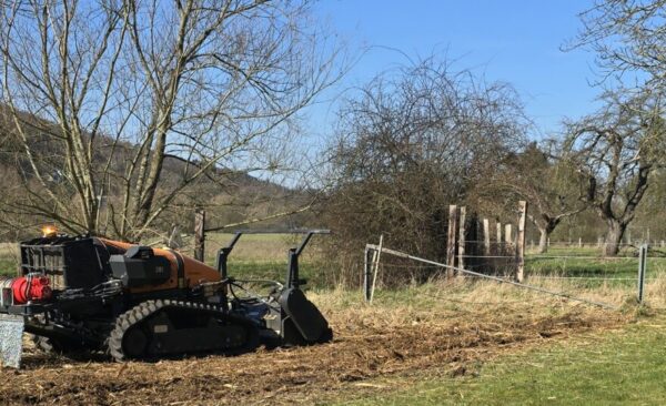 Mähraupe im Einsatz Mähraupe Forstmulcher - wieder freie Sicht ohne Wildsträucher