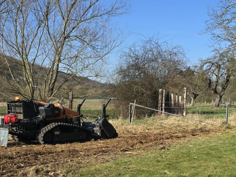 Mähraupe Forstmulcher - wieder freie Sicht ohne Wildsträucher