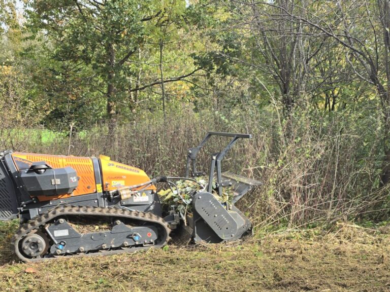 Freistellen von Wiesen, Parkplätzen oder Bauplätzen - Mit Forstmulcher an der Mähraupe